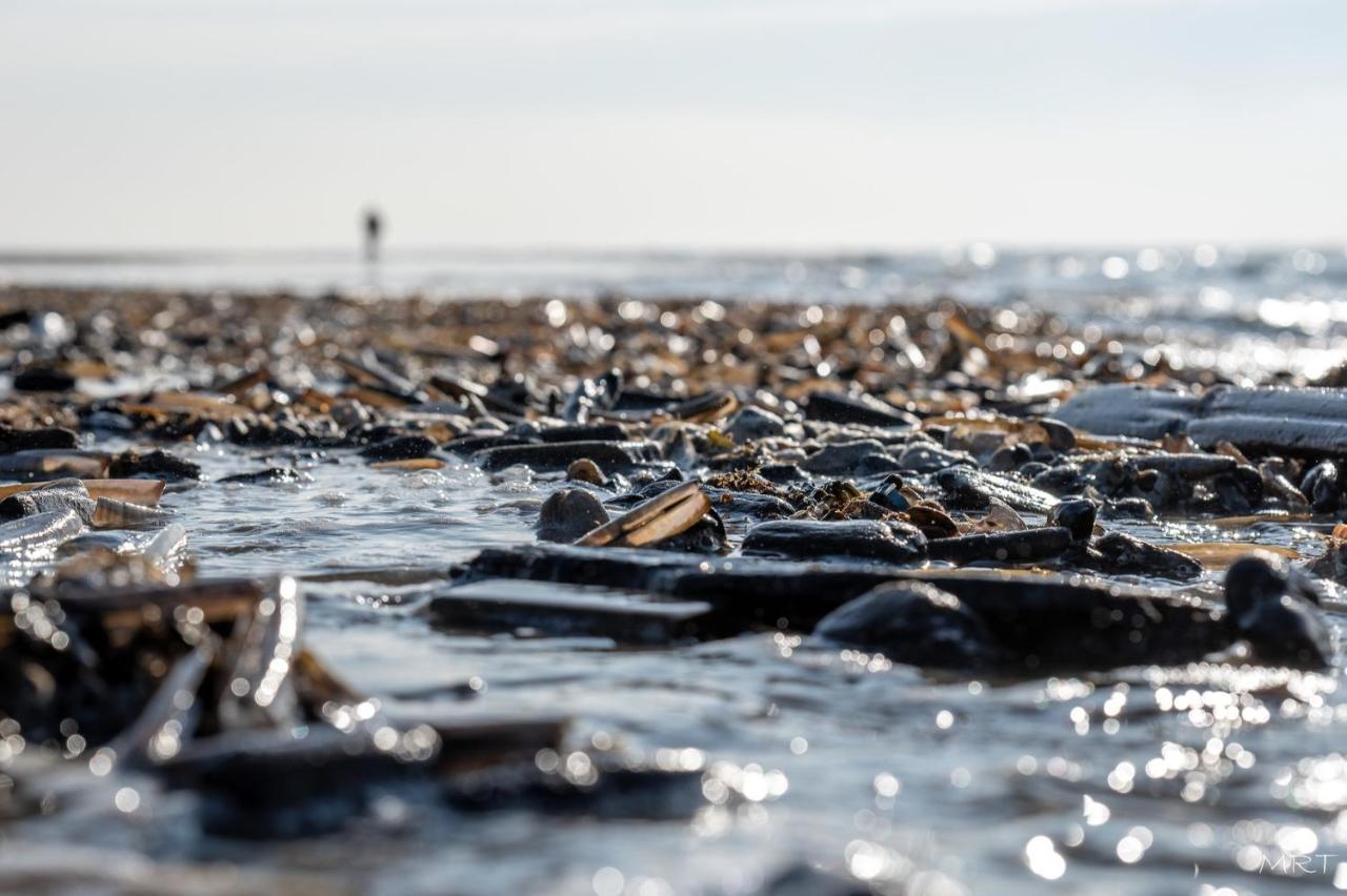 Hotel Steeds Aan Zee Katwijk aan Zee Exterior foto